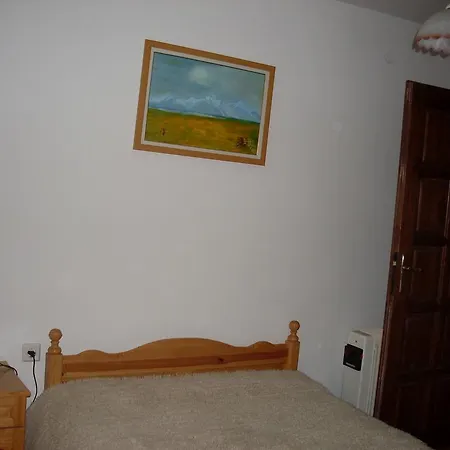 Ani Zeleno Dŭrvo